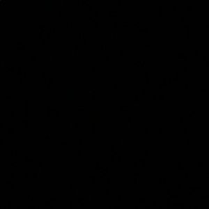 Meet your Posher, Malachi